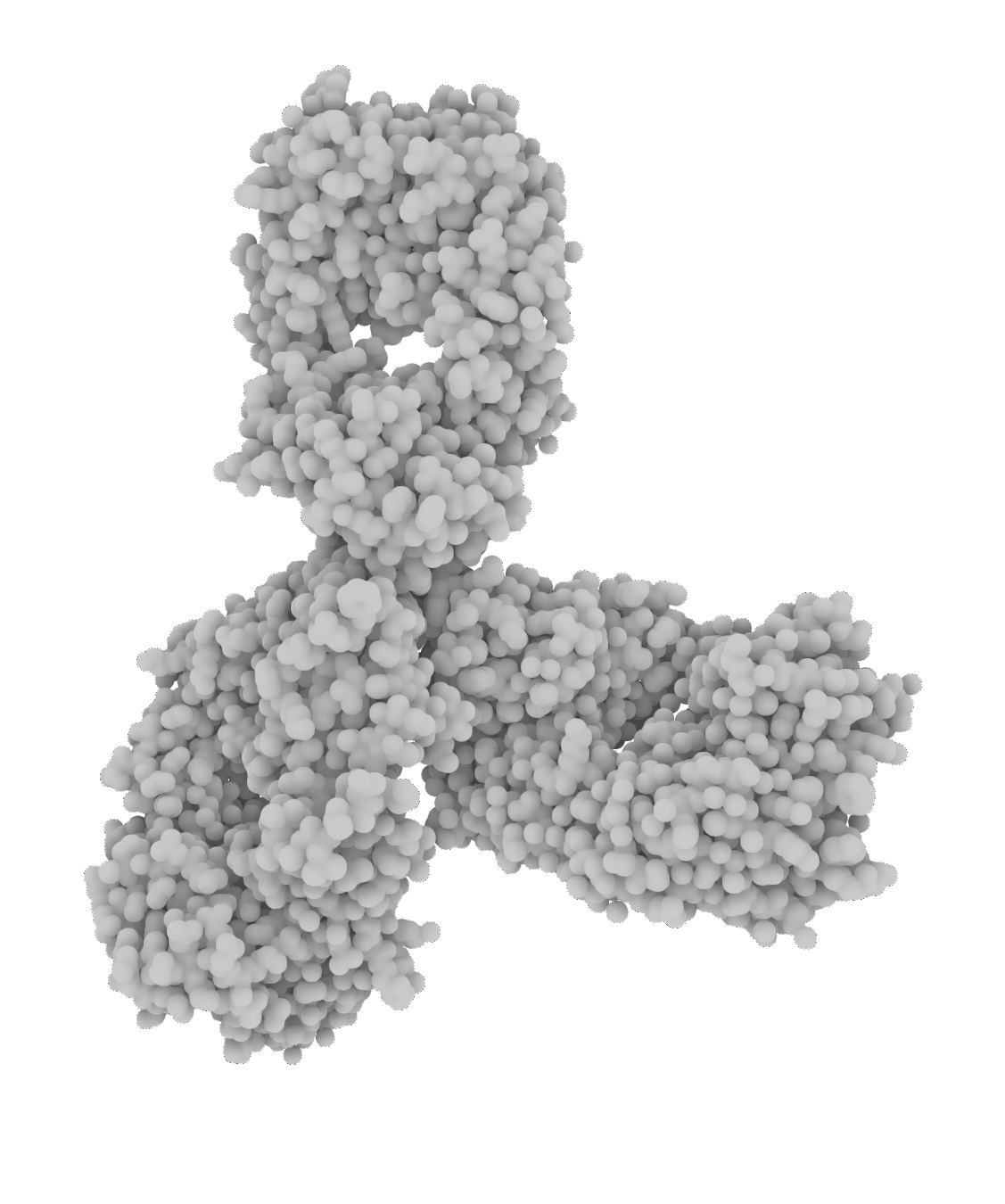 Antibody structure