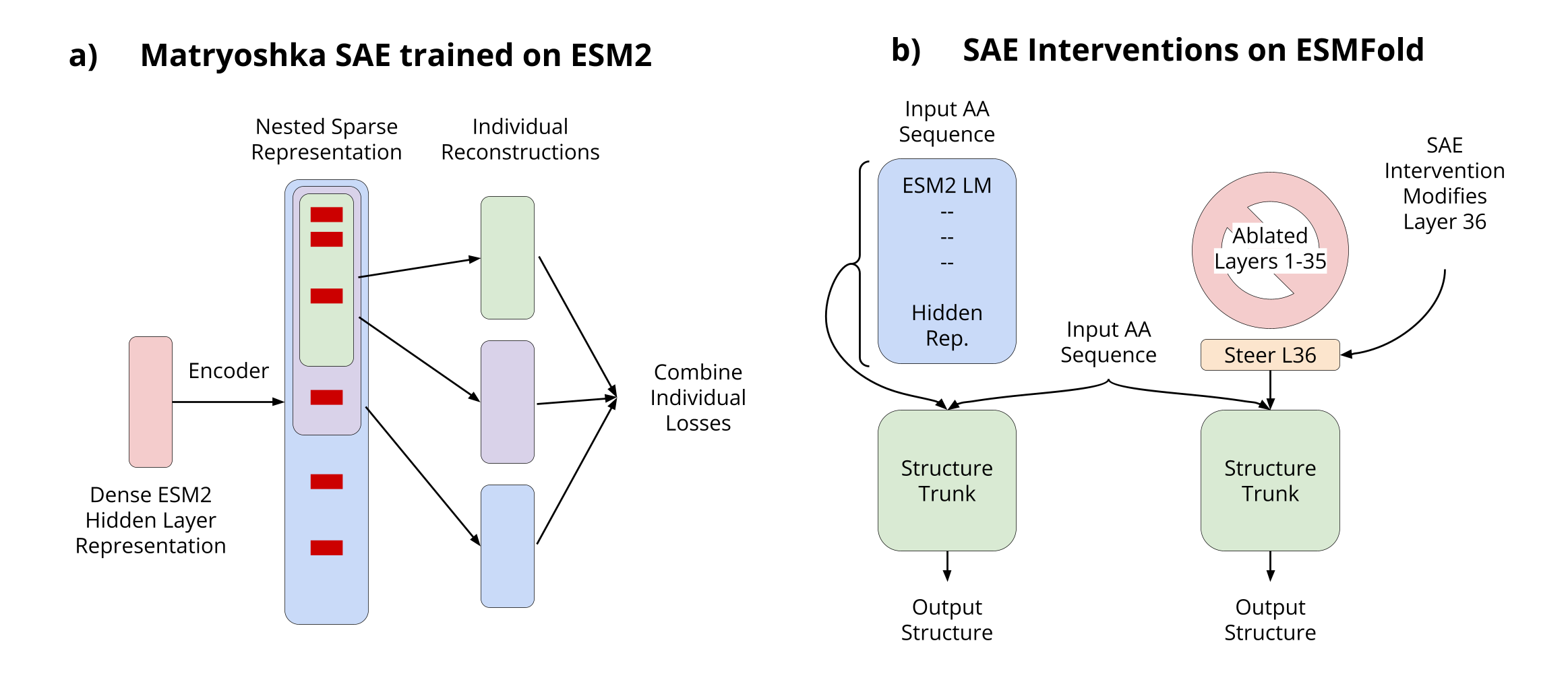 Overview of our approach to interpretable protein structure prediction